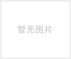 诺盾车载保险箱、汽车电子密码箱 备胎通用型